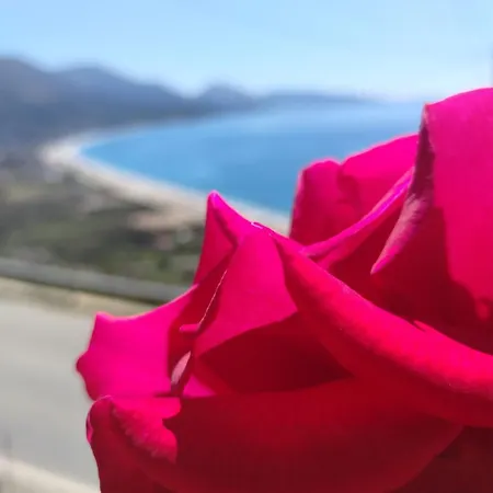 Apartment Petrit Qeparo