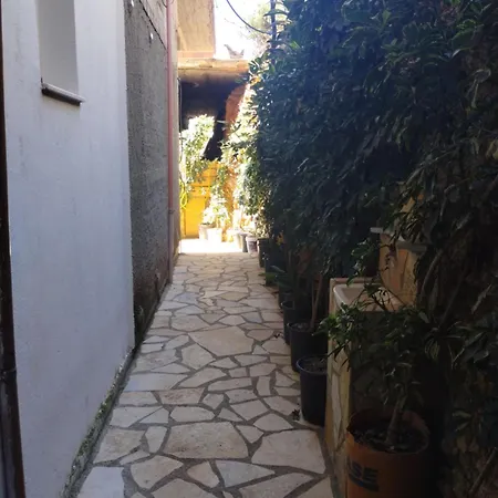 Petrit Apartment Qeparo