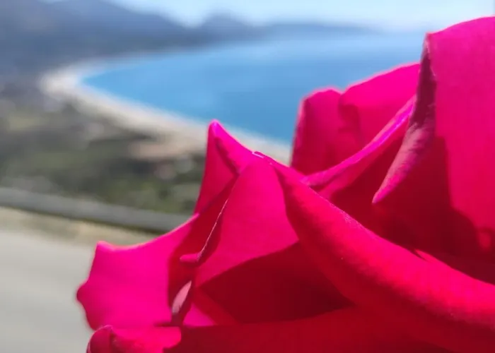 Appartamento Petrit Qeparo